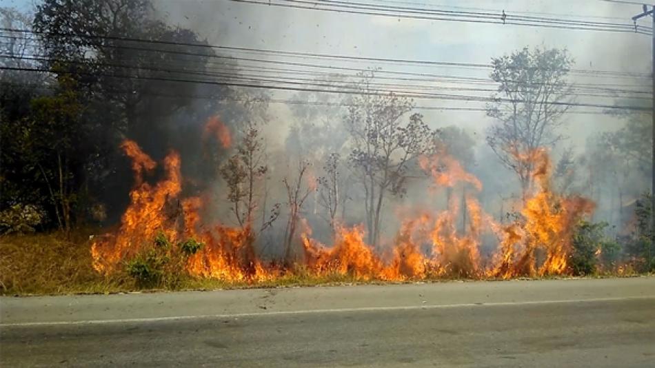 งดการเผาในที่โล่งเพื่อลดฝุ่นละอองในอากาศ